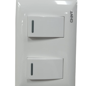 Switch doble sencillo chint
