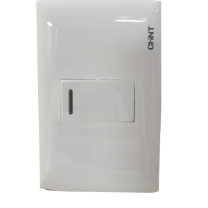 Switch sencillo empotrar chint