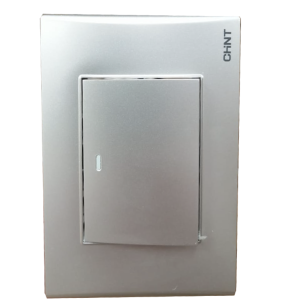 Switch sencillo silver 16a 120 chint